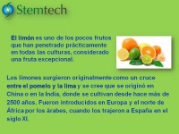 /album/fotogaleria-stemflo/diapositiva36-jpg1/