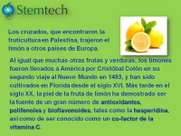 /album/fotogaleria-stemflo/diapositiva37-jpg1/