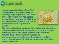 /album/fotogaleria-stemflo/diapositiva38-jpg1/